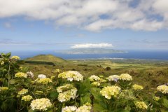 WhatsApp-Image-2022-11-17-at-23.26.33