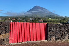 WhatsApp-Image-2022-11-17-at-23.28.46-1