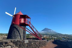 WhatsApp-Image-2022-11-17-at-23.28.46