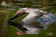 JOE_1227 JOE_1227