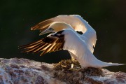 JOE_05092