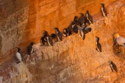 JOE_0665-Bearbeitet2