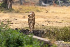 KR_5063