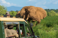 SAMBURU_JOE_77542