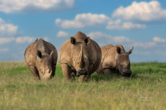 SOLIO_2O8A85322-Kopie