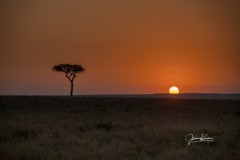 A7R02942