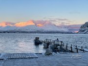 IMG_8679
