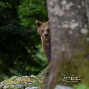 KR_5855
