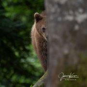 KR_5889