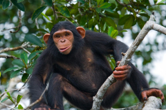 freepik__expand__16175