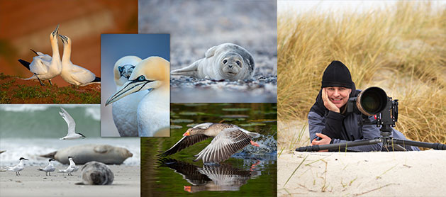 Helgoland, Fotografenreise fuer Fotografie, Fotoreise für Naturfotografen