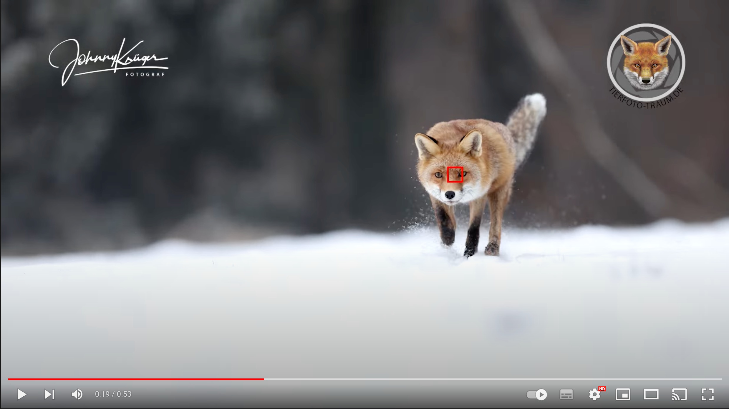 Videos: Augen AF Test mit der Canon EOS R3 im Schnee