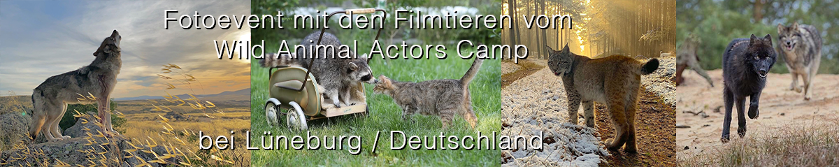 wild-animal-actors1200