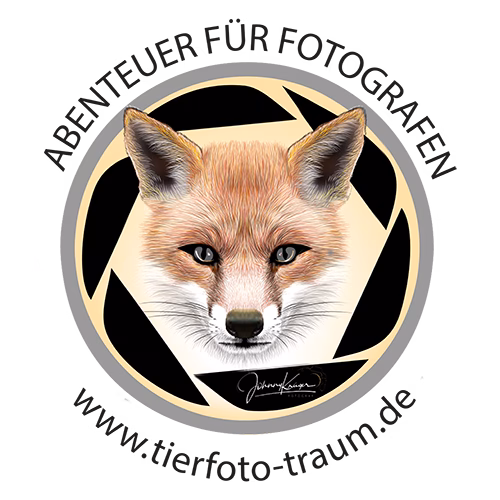 Tierfoto Traum