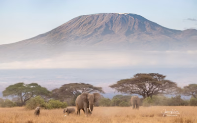 Reisebericht Kenia 2026